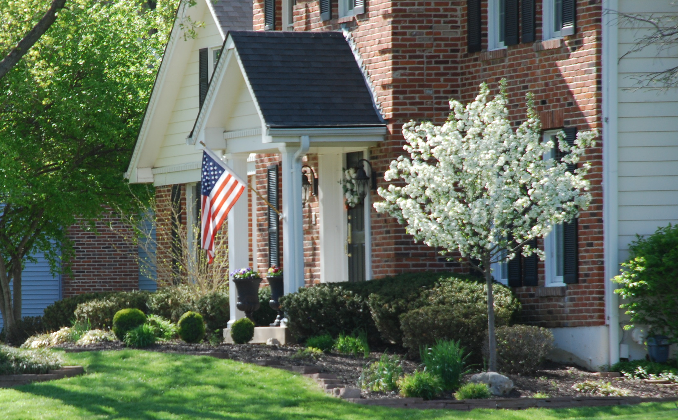 Lawn Mowed